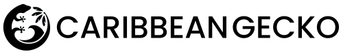 Caribbean Gecko logo with a stylized gecko on a black background